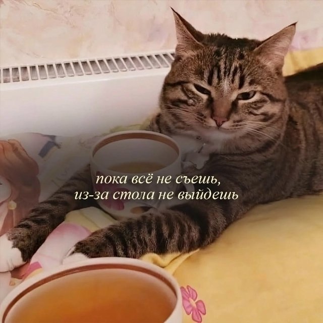Эти фразы в детстве слышал каждый - 4