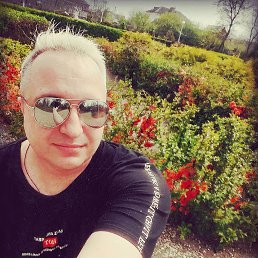 ���� ���������, ����������, 34 ���� - ��������� 15 ������ 2024