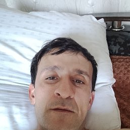, 36, 