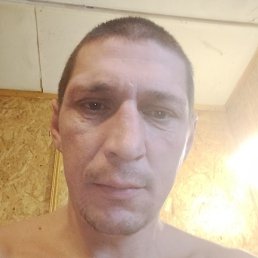 �����, �����, 40 ���