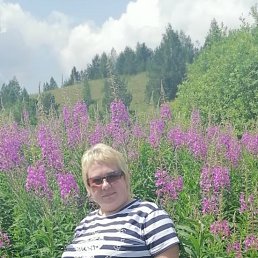 , 43, 