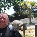 ���� �����, �������, 75 ��� - ��������� 19 ������� 2026 � ������ ���� ����������