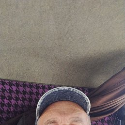 ������ �������, 62 ����, ���������