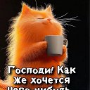 ���� �����, ������, 60 ��� - ��������� 8 ������ 2026 � ������ ���