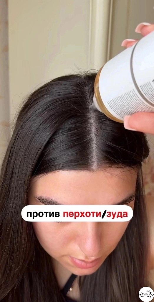 ���o�e�a� ��c�o�a - ���o��.���� ����� ����� � ������� - 6