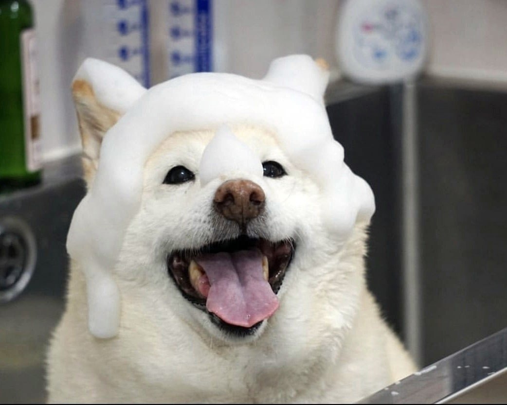 ����� ��� ����, ��� ��� ����!