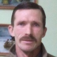 , 51 , 