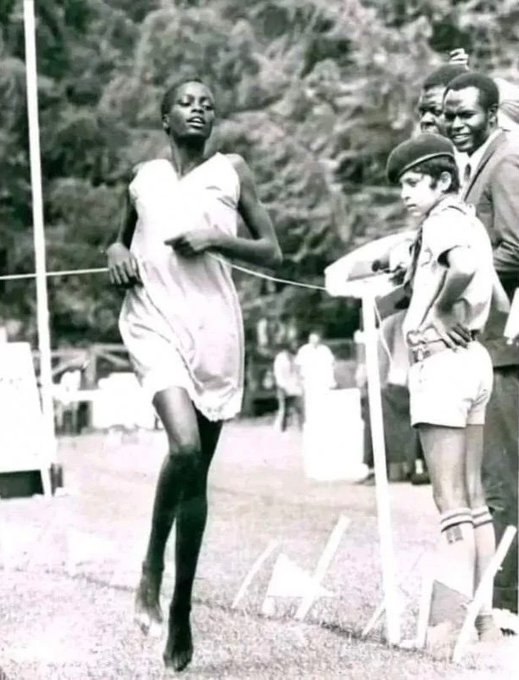  ,  ,    1973     .