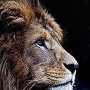 ���� ����������, ���������, 21 ��� - ��������� 17 ������ 2023 � ������ ���� ����������