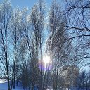 ���� ���������, �����, 66 ��� - ��������� 31 ������ 2026 � ������ ������ ��������