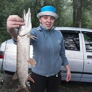 �����, 33 ����, �����������