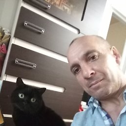 ��������, ��������, 51 ���