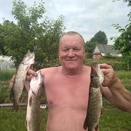 , 62, 