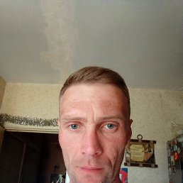 , 33,  