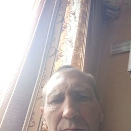 , 53 , 
