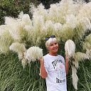 ���� ������, ������, 65 ��� - ��������� 20 �������� 2024 � ������ ���� ����������