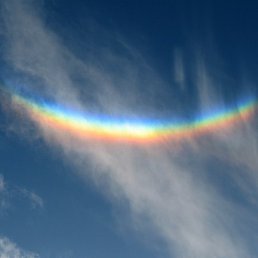 ������, ����