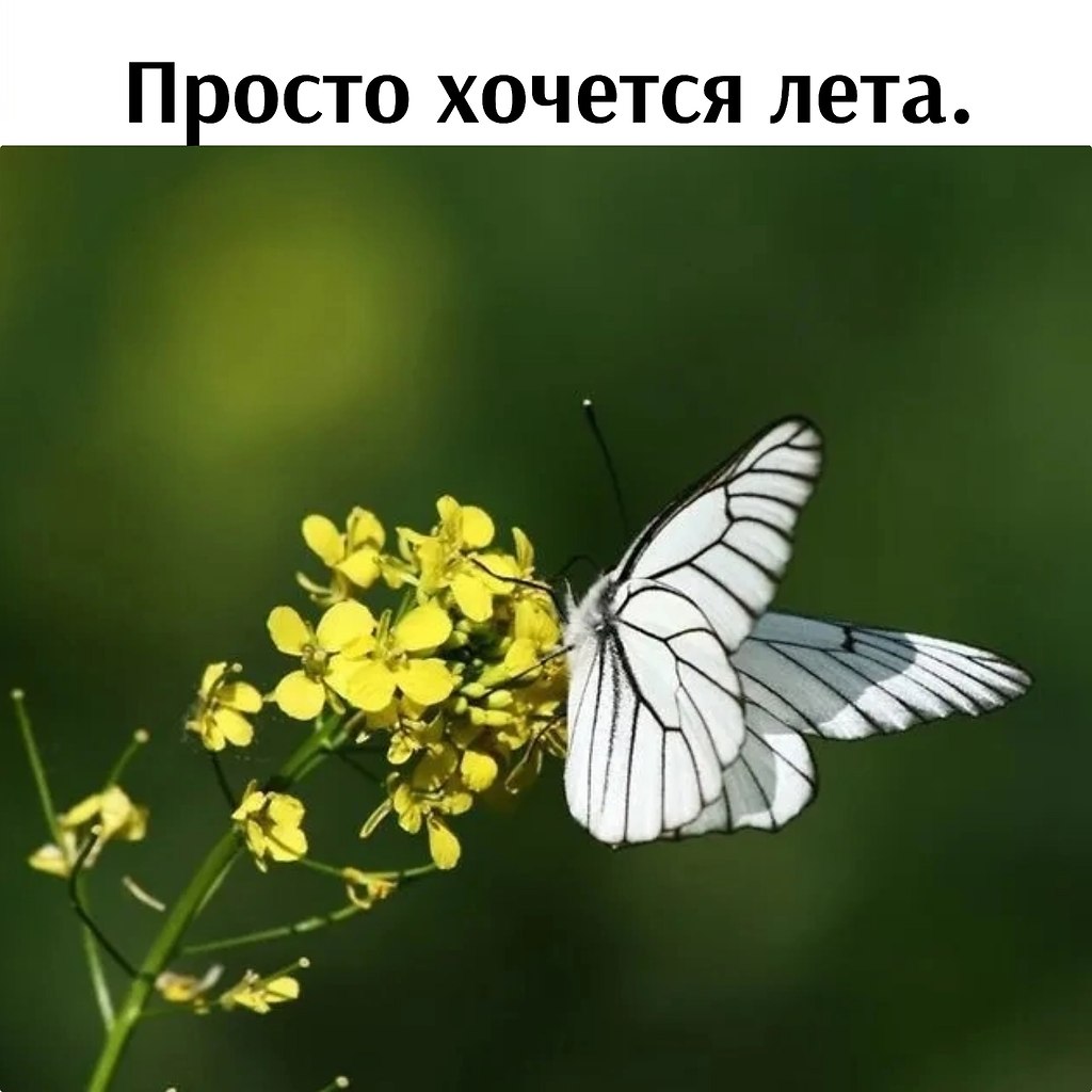   - 30  2025  11:36