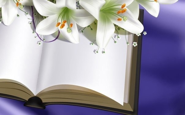 КНИГА ЖАЛОБ.(позитивный рассказ о том как сохранить мир в семье)Когда Антон с Мариной поженились, ...