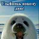 ���� �������, ���������, 68 ��� - ��������� 8 ������� 2023