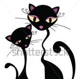 ���� �, ������, 65 ��� - ��������� 24 ������ 2026