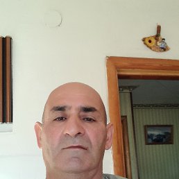 , 53 , 