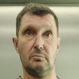 ����, �����������, 41 ���