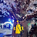 ���� ������, ������, 56 ��� - ��������� 25 ������� 2026 � ������ ���� ����������