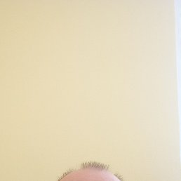 , 41, -