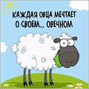 ���� &V&, ����� - ��������� 11 ���� 2024 � ������ ������ ��������