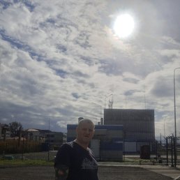 , 44, 