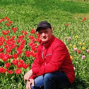 �����, 55 ���, ��������