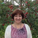 ���� ����, ����, 62 ���� - ��������� 17 ������ 2026 � ������ ���� ����������