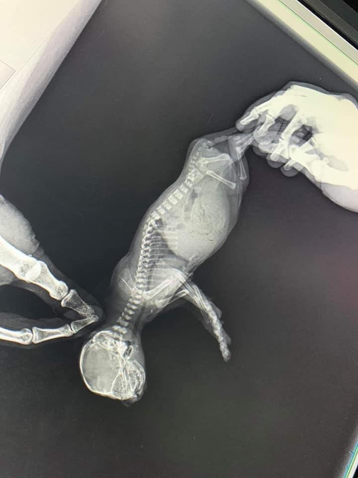 oa caac, o e o oo,  cpoo oea  eepap. o  oa e ... - 2