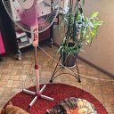 ���� ����, �������, 79 ��� - ��������� 13 ������ 2025 � ������ ������ ��������