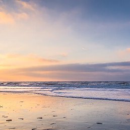 ���������, ����������, 55 ���