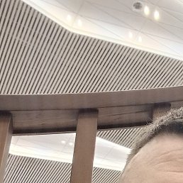 �������, �����, 35 ���