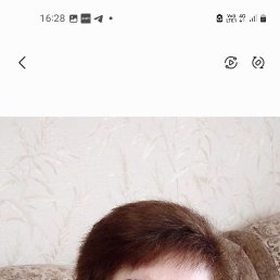 , 62, 