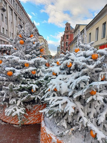 ���������� �����.����: ��������� ������