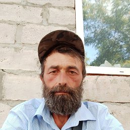 , 41, 
