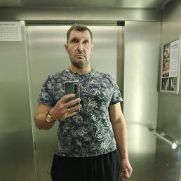 ����, 41 ���, �����������