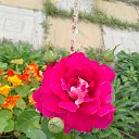 ���� ��������, ������, 59 ��� - ��������� 7 ������� 2024 � ������ ������