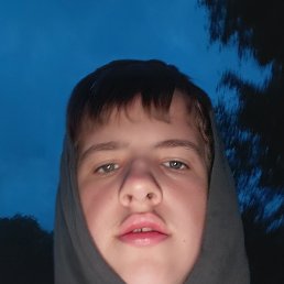 , 36 , 