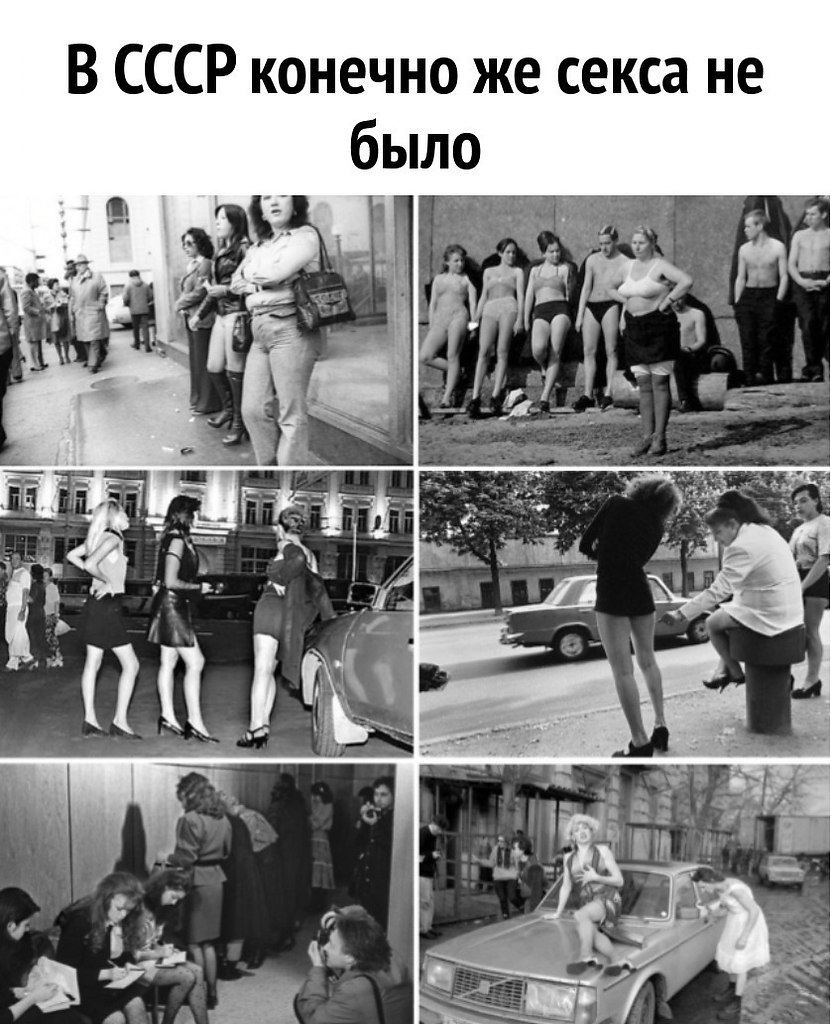 Животные напоминают о чуткости.