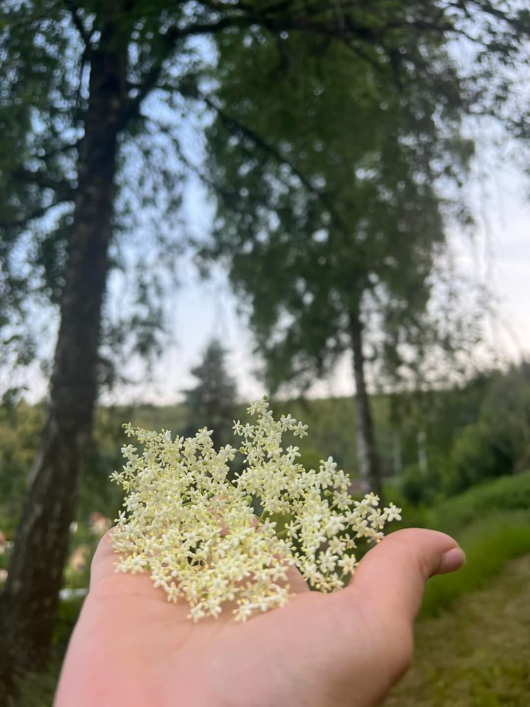 :) ,     .       . , ... - 3