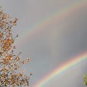 ���� �����, ���������, 48 ��� - ��������� 7 ������ 2025