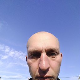 , 41, 