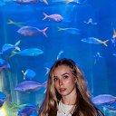 ���� �����, ʸ���, 26 ��� - ��������� 26 ����� 2026