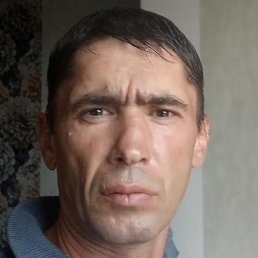 �������, ����������, 50 ���