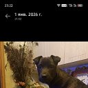 ���� ����, ������-��-����, 58 ��� - ��������� 1 ������ 2026 � ������ ���� ����������